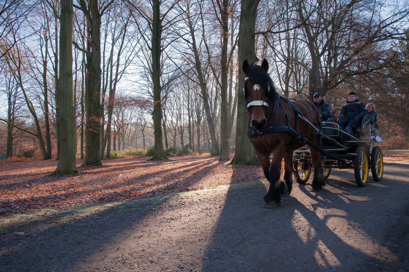 C-wolvenbos_brunch-7